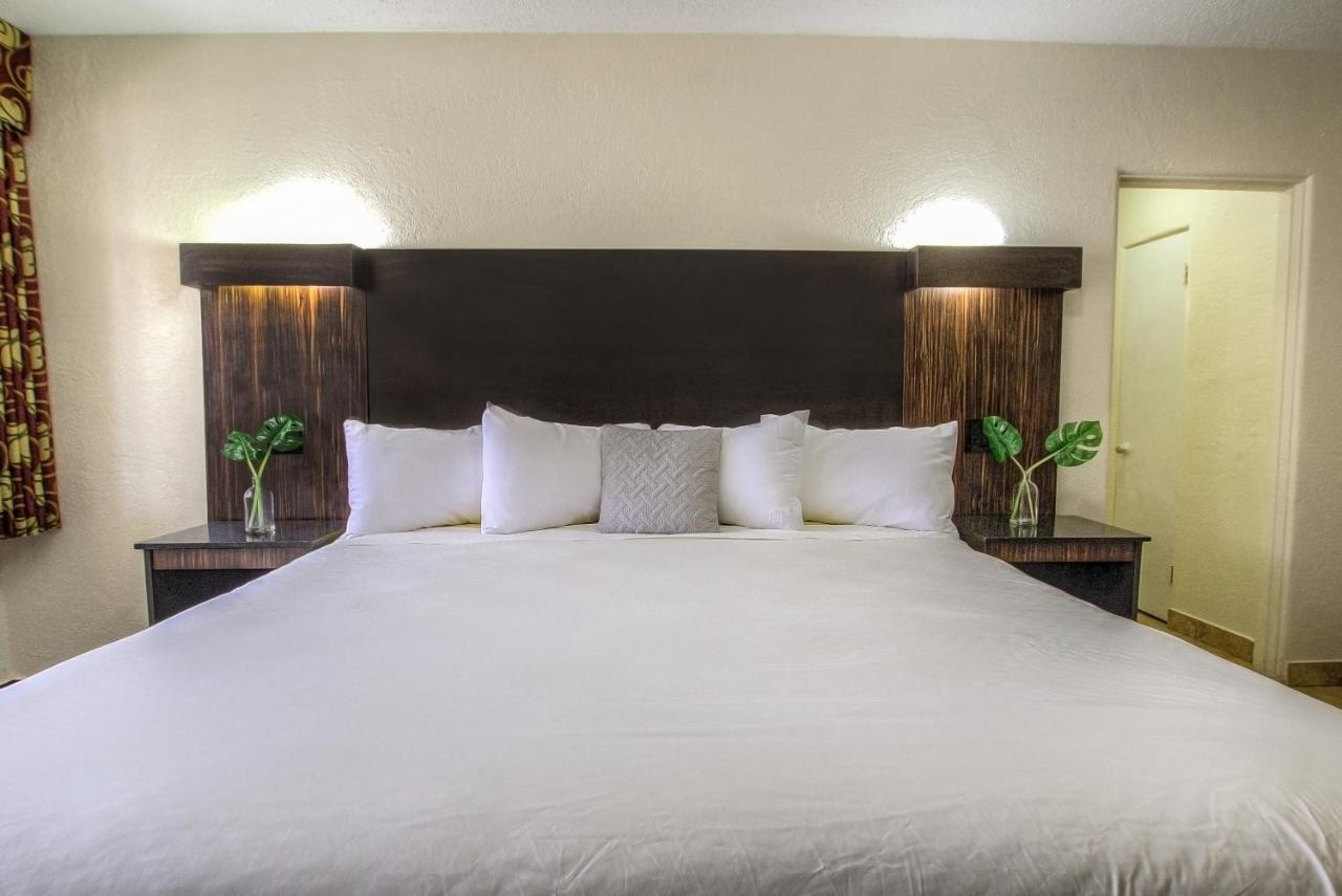 La Bella Oceanfront Inn - Daytona Daytona Beach Ngoại thất bức ảnh